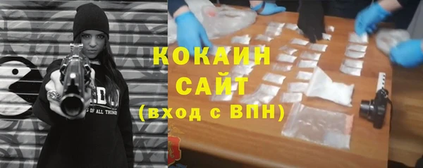 стафф Алзамай