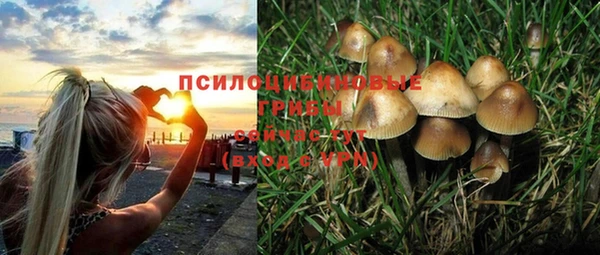 метадон Абаза