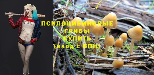 стафф Алзамай