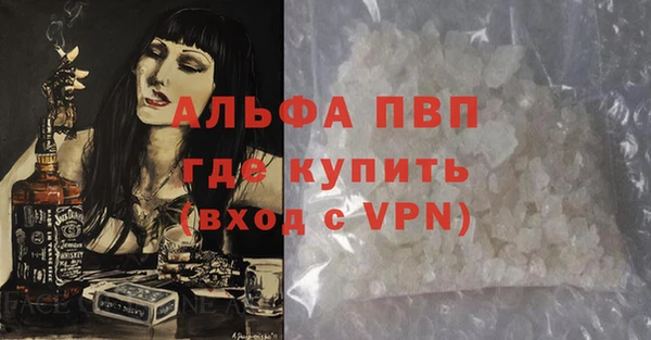стафф Алзамай