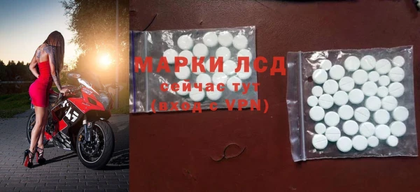 стафф Алзамай