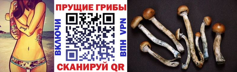 Псилоцибиновые грибы мицелий  Опочка 